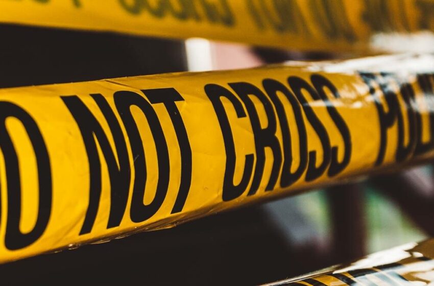  चंडीगढ़ के व्यक्ति की हत्या में शामिल ‘ड्रग पेडलर’ जमानत पर बाहर: पुलिस